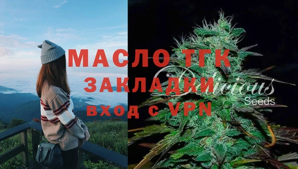 дмт Вяземский