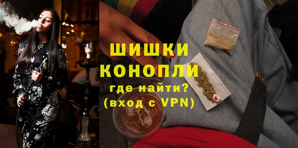 дмт Вяземский