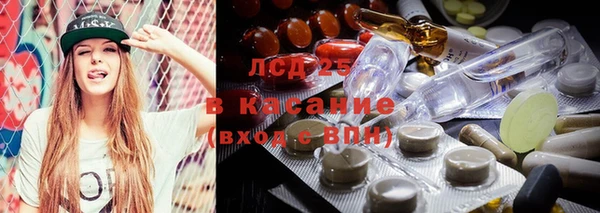 дмт Вяземский